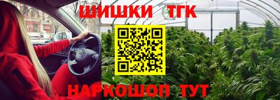 apvp Краснодар