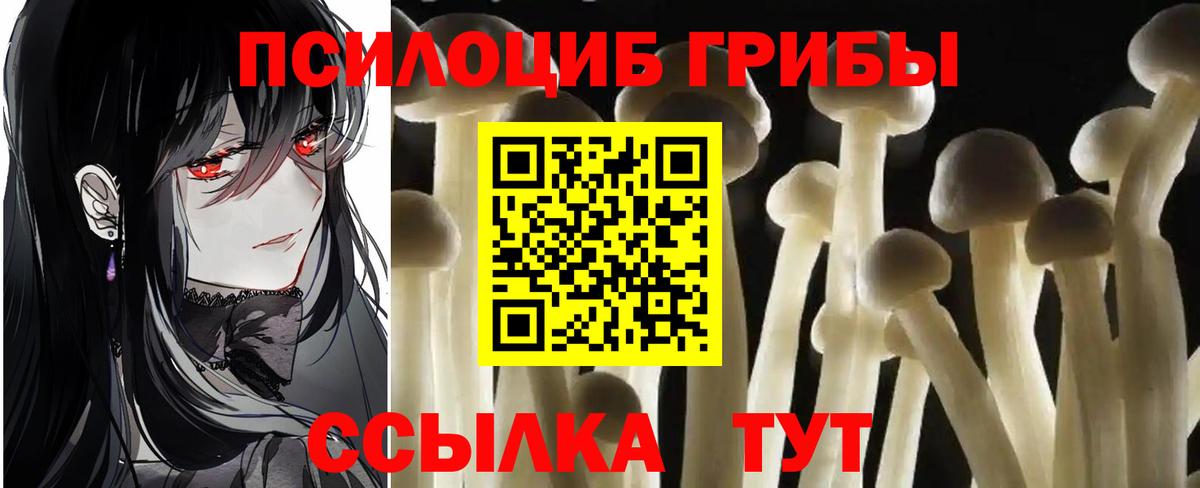 Псилоцибиновые грибы мухоморы Киселёвск