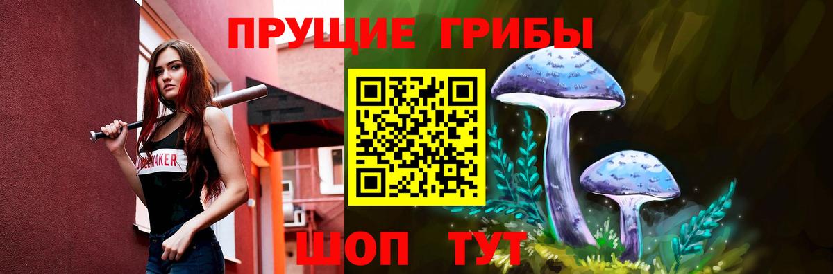 Псилоцибиновые грибы ЛСД  сколько стоит  Киселёвск  Вход с VPN  Псилоцибиновые грибы ЛСД 
